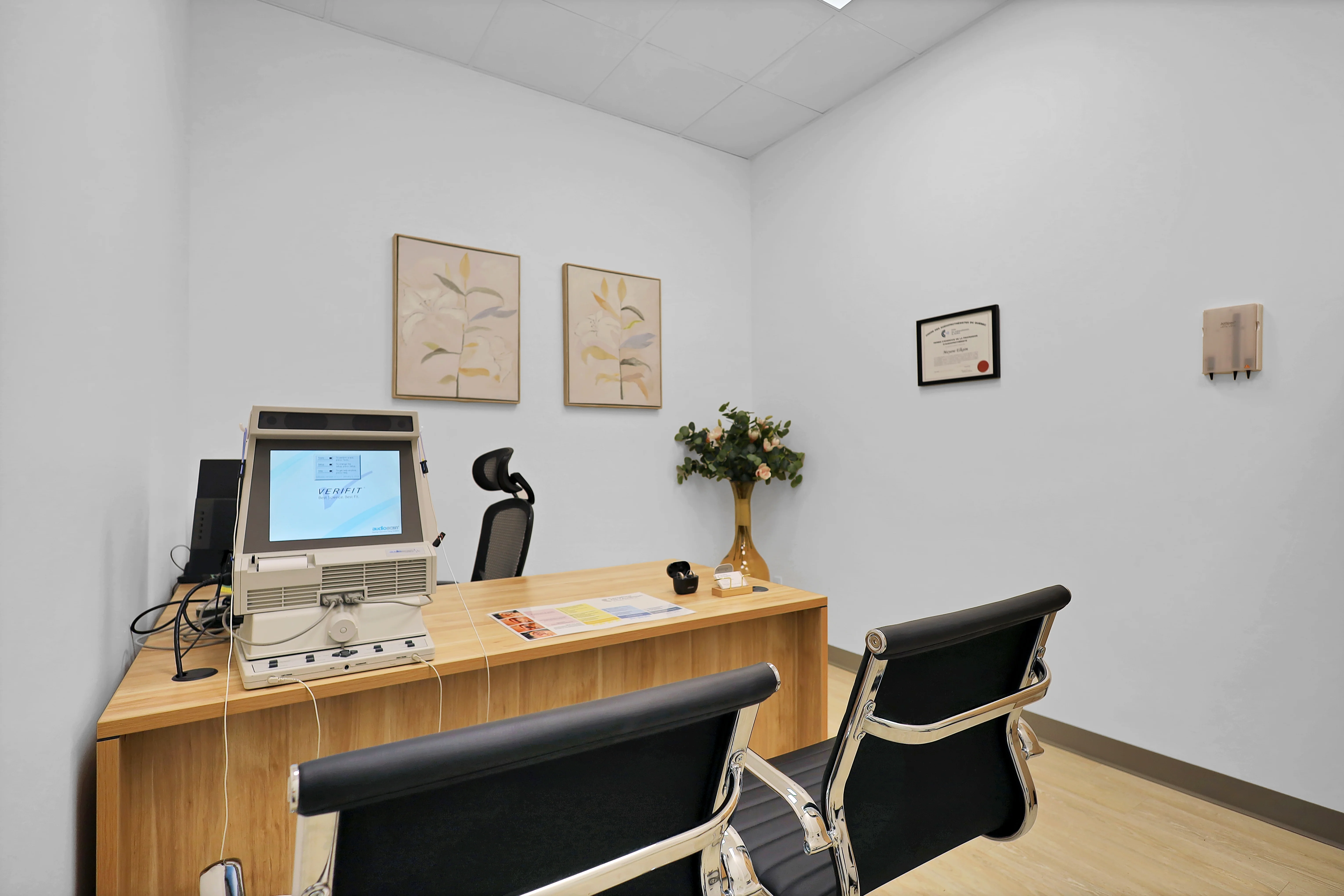 Carrefour de l'Audition – clinique audioprothèse LaSalle photo 1